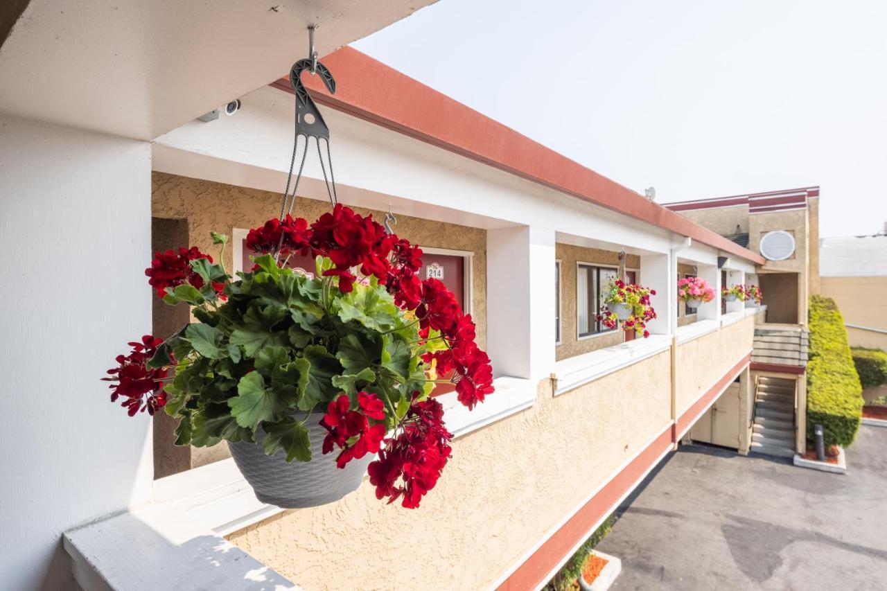 Americana Inn Motel Юг Сан Франциско Экстерьер фото